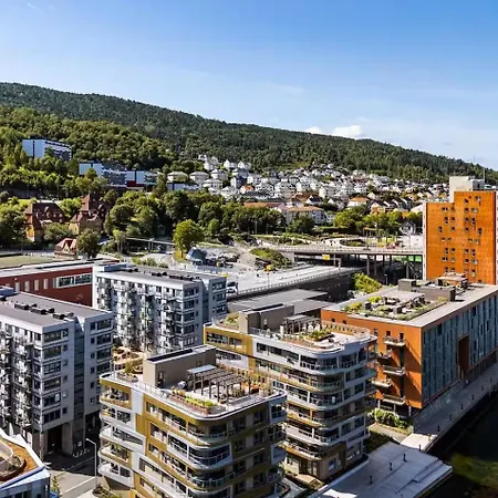 Treet Building Bergen